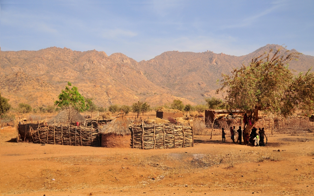 Village in Chad, Africa