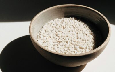 Jesus is the Rice of Life for Myanmar